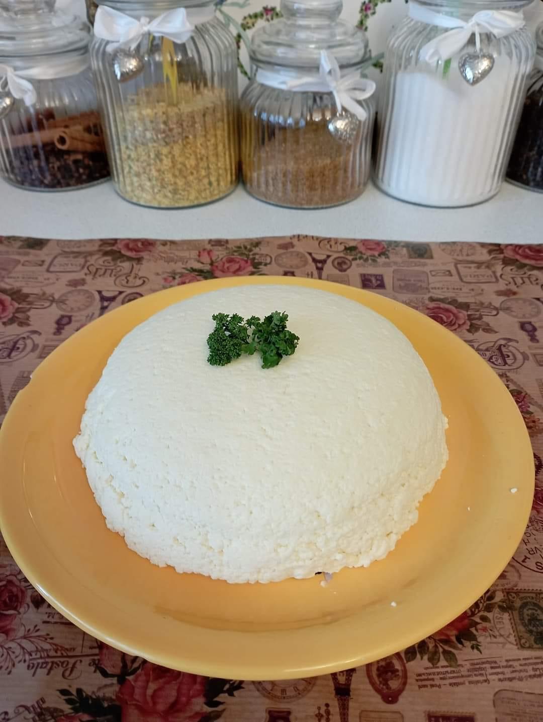 Homemade Cheese